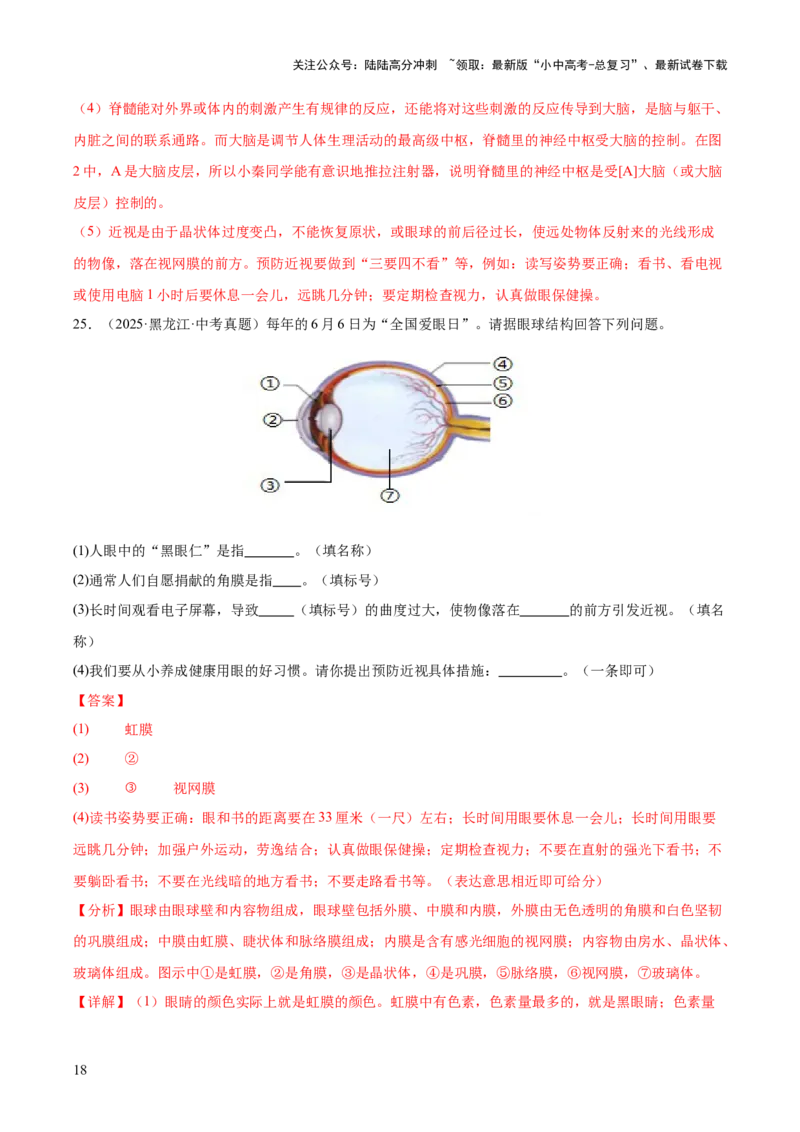 专题07人体生命活动的调节（全国通用）（解析版）_02中考总复习（2026版更新中）_08-生物-中考总复习_2026年中考复习（更新中）