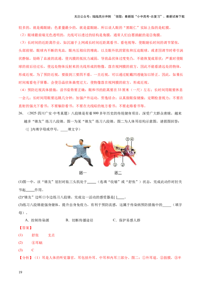 专题07人体生命活动的调节（全国通用）（解析版）_02中考总复习（2026版更新中）_08-生物-中考总复习_2026年中考复习（更新中）