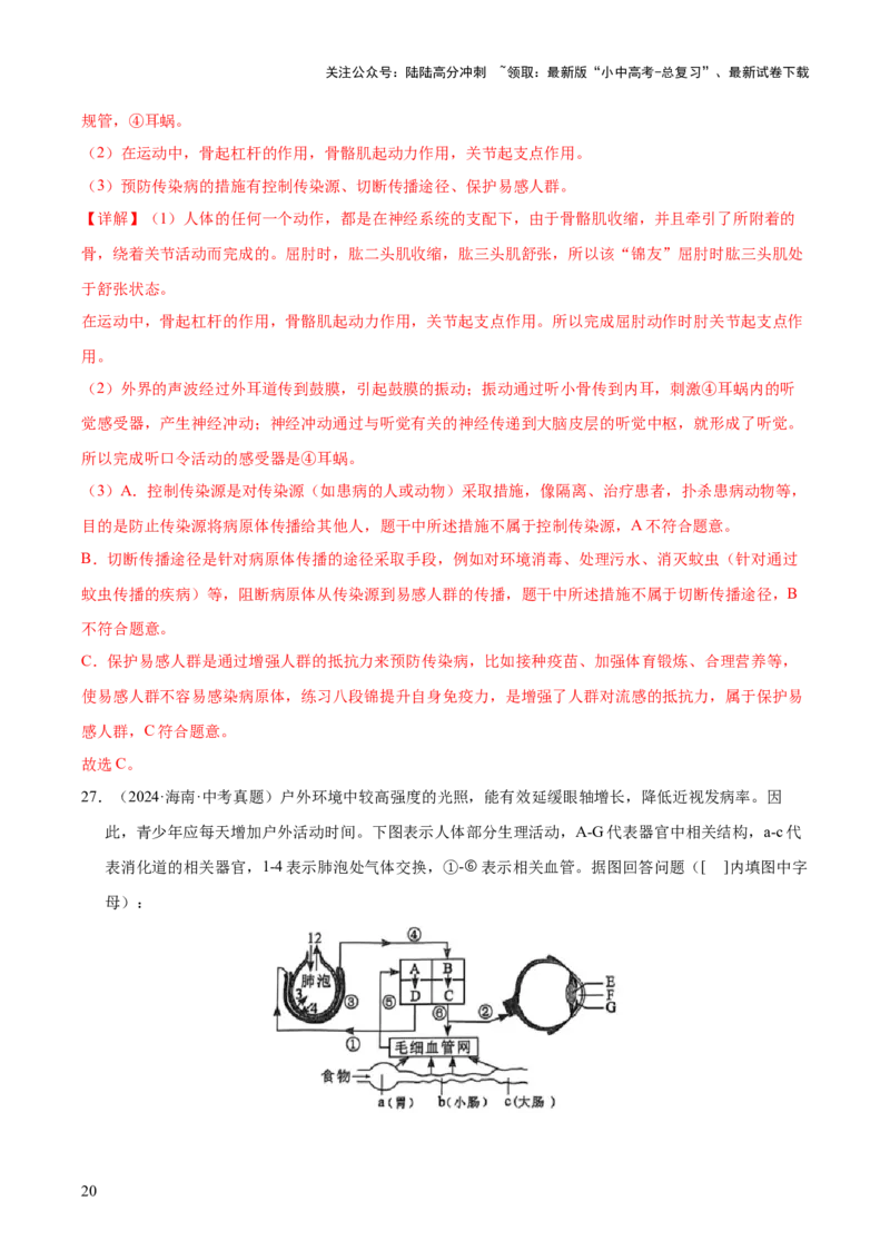 专题07人体生命活动的调节（全国通用）（解析版）_02中考总复习（2026版更新中）_08-生物-中考总复习_2026年中考复习（更新中）