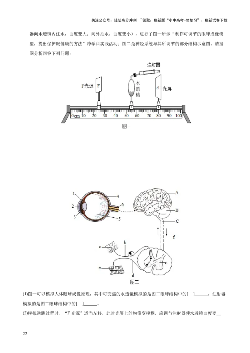 专题07人体生命活动的调节（全国通用）（解析版）_02中考总复习（2026版更新中）_08-生物-中考总复习_2026年中考复习（更新中）