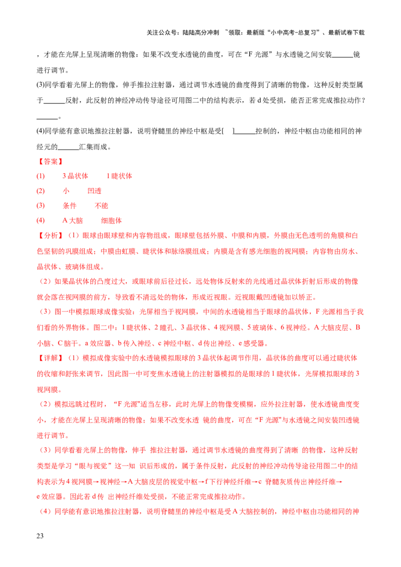 专题07人体生命活动的调节（全国通用）（解析版）_02中考总复习（2026版更新中）_08-生物-中考总复习_2026年中考复习（更新中）