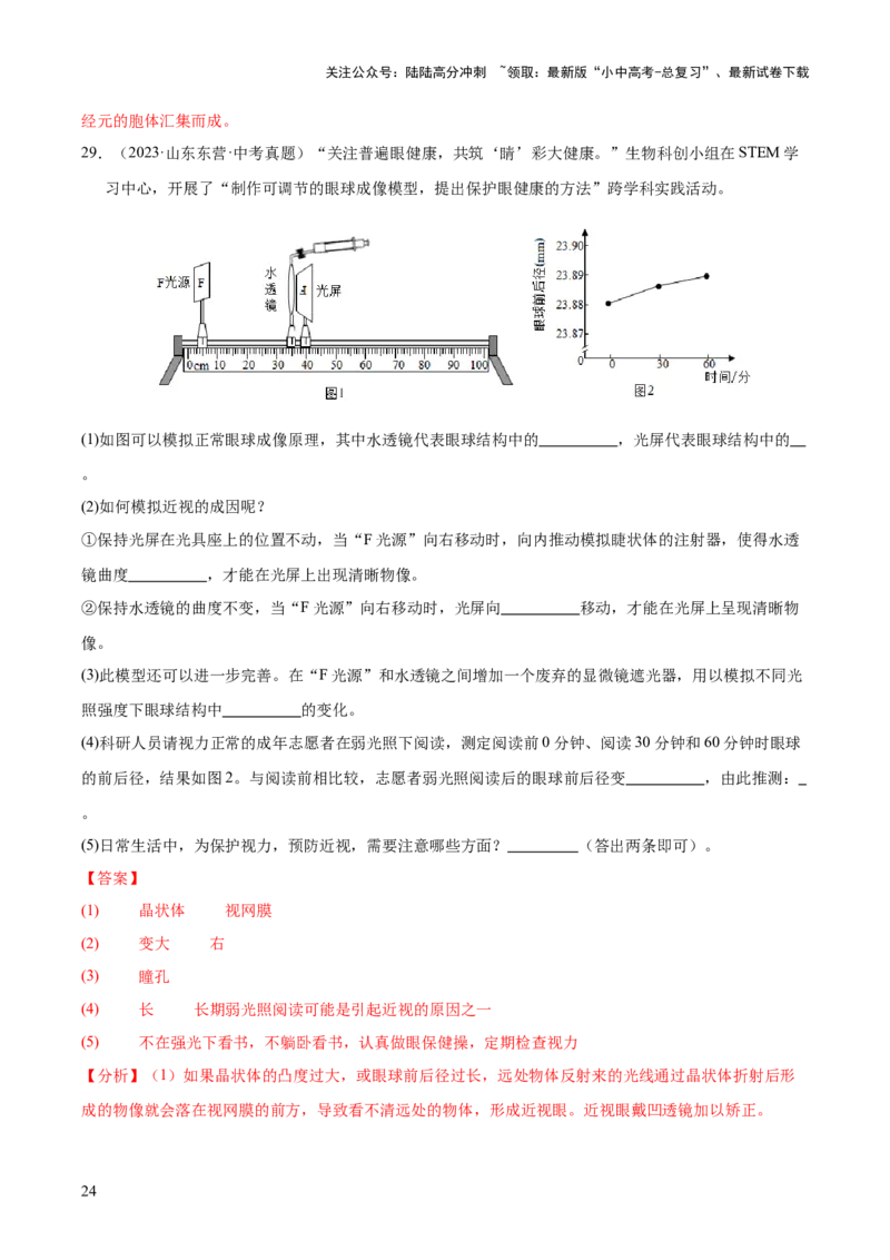专题07人体生命活动的调节（全国通用）（解析版）_02中考总复习（2026版更新中）_08-生物-中考总复习_2026年中考复习（更新中）