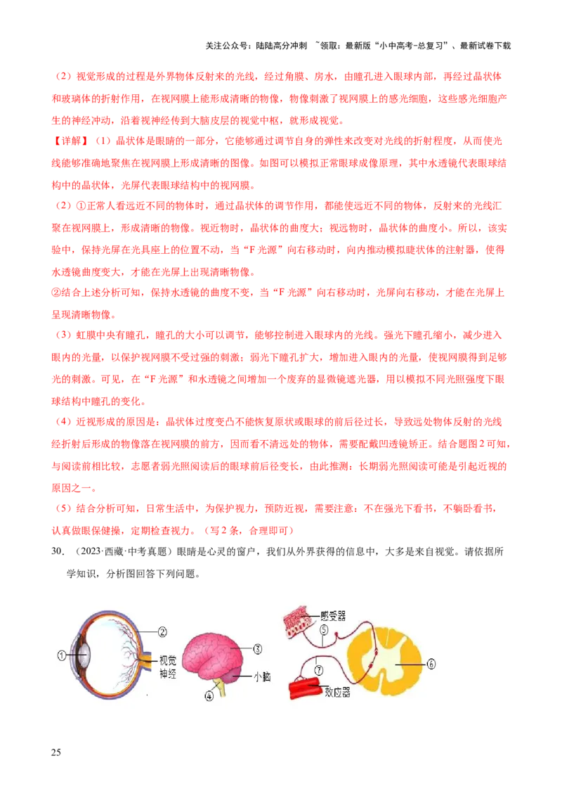 专题07人体生命活动的调节（全国通用）（解析版）_02中考总复习（2026版更新中）_08-生物-中考总复习_2026年中考复习（更新中）