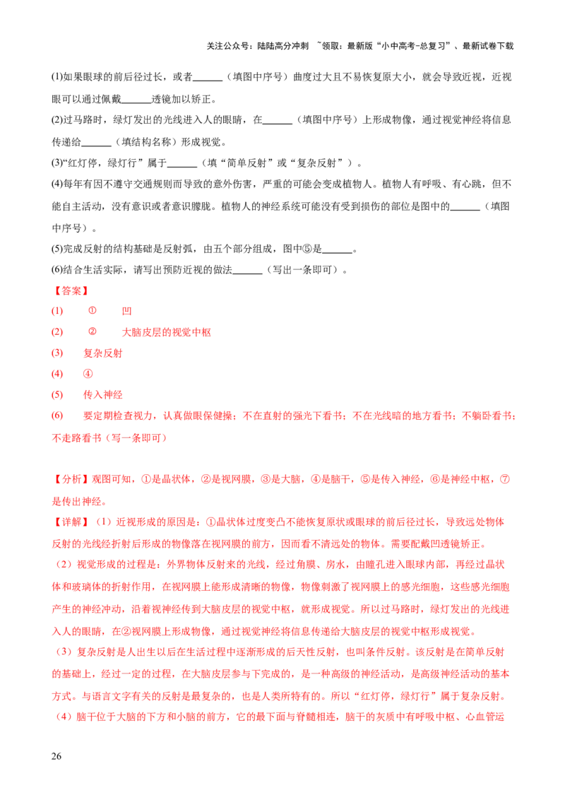 专题07人体生命活动的调节（全国通用）（解析版）_02中考总复习（2026版更新中）_08-生物-中考总复习_2026年中考复习（更新中）