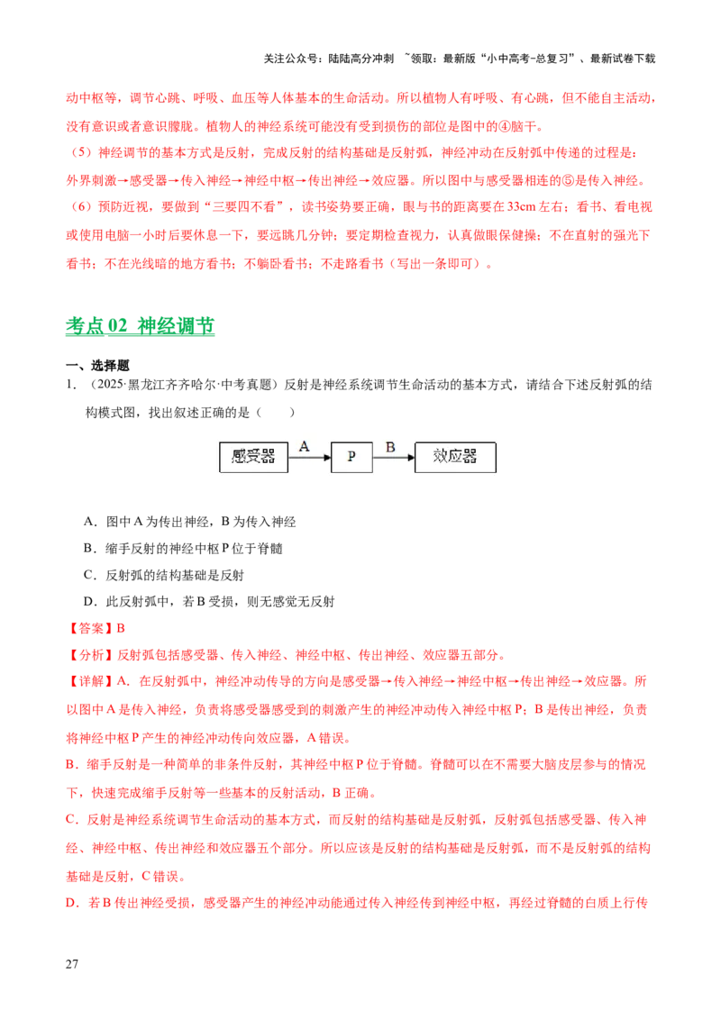 专题07人体生命活动的调节（全国通用）（解析版）_02中考总复习（2026版更新中）_08-生物-中考总复习_2026年中考复习（更新中）