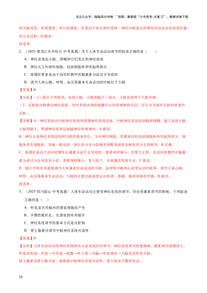 专题07人体生命活动的调节（全国通用）（解析版）_02中考总复习（2026版更新中）_08-生物-中考总复习_2026年中考复习（更新中）