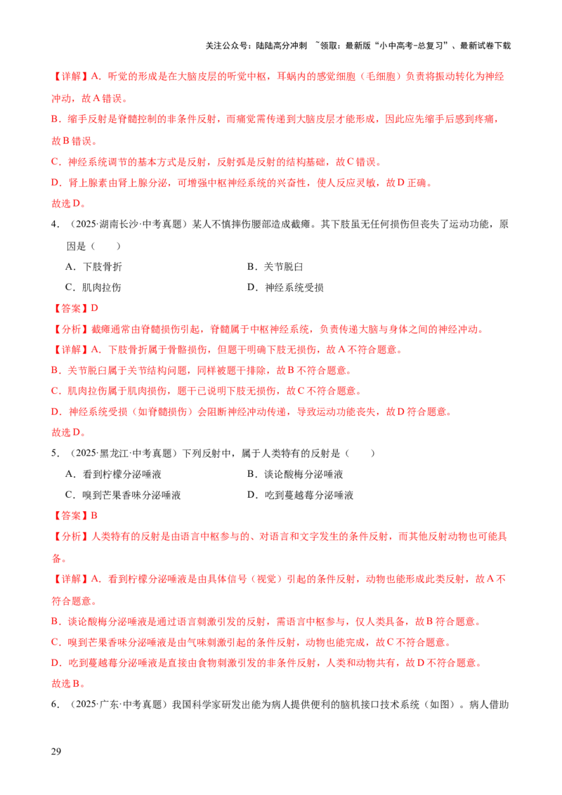 专题07人体生命活动的调节（全国通用）（解析版）_02中考总复习（2026版更新中）_08-生物-中考总复习_2026年中考复习（更新中）