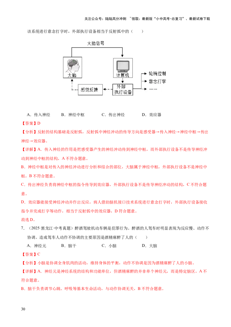专题07人体生命活动的调节（全国通用）（解析版）_02中考总复习（2026版更新中）_08-生物-中考总复习_2026年中考复习（更新中）