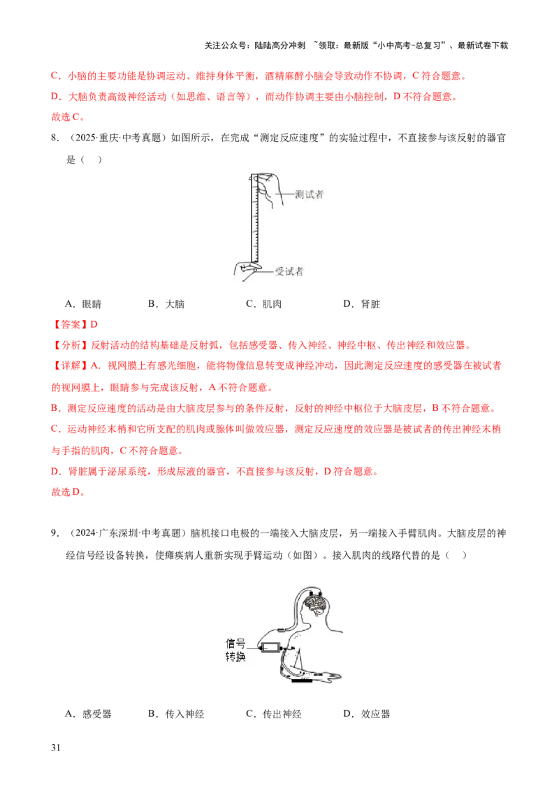 专题07人体生命活动的调节（全国通用）（解析版）_02中考总复习（2026版更新中）_08-生物-中考总复习_2026年中考复习（更新中）