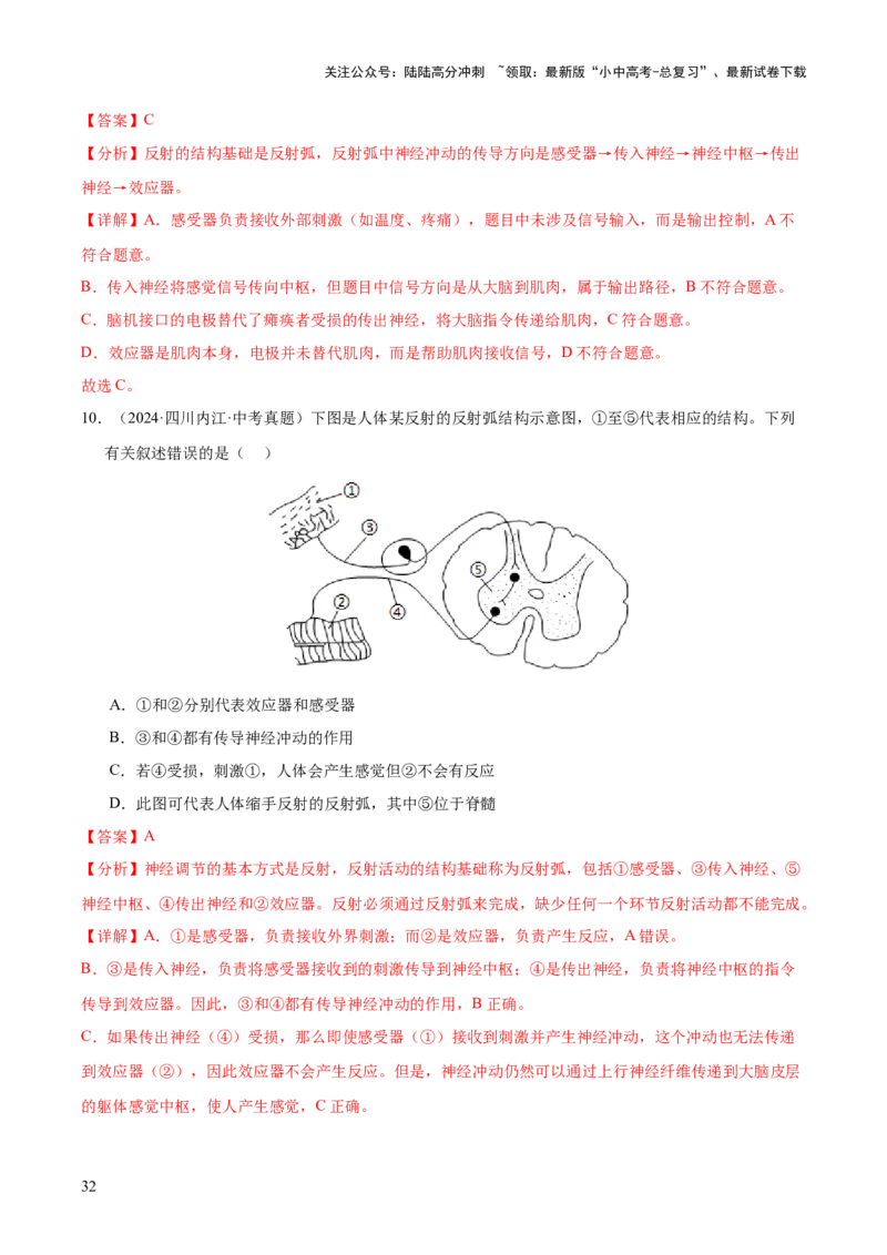专题07人体生命活动的调节（全国通用）（解析版）_02中考总复习（2026版更新中）_08-生物-中考总复习_2026年中考复习（更新中）