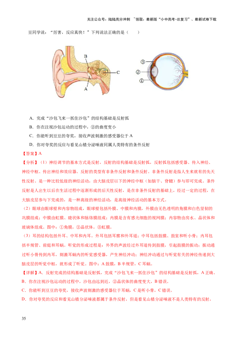 专题07人体生命活动的调节（全国通用）（解析版）_02中考总复习（2026版更新中）_08-生物-中考总复习_2026年中考复习（更新中）