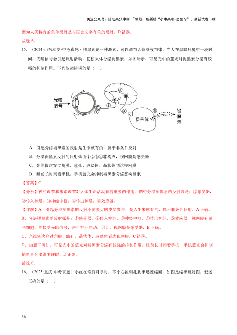 专题07人体生命活动的调节（全国通用）（解析版）_02中考总复习（2026版更新中）_08-生物-中考总复习_2026年中考复习（更新中）