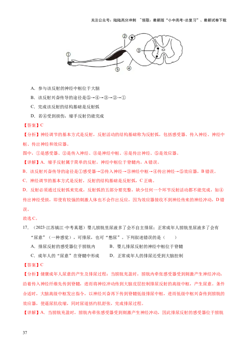 专题07人体生命活动的调节（全国通用）（解析版）_02中考总复习（2026版更新中）_08-生物-中考总复习_2026年中考复习（更新中）