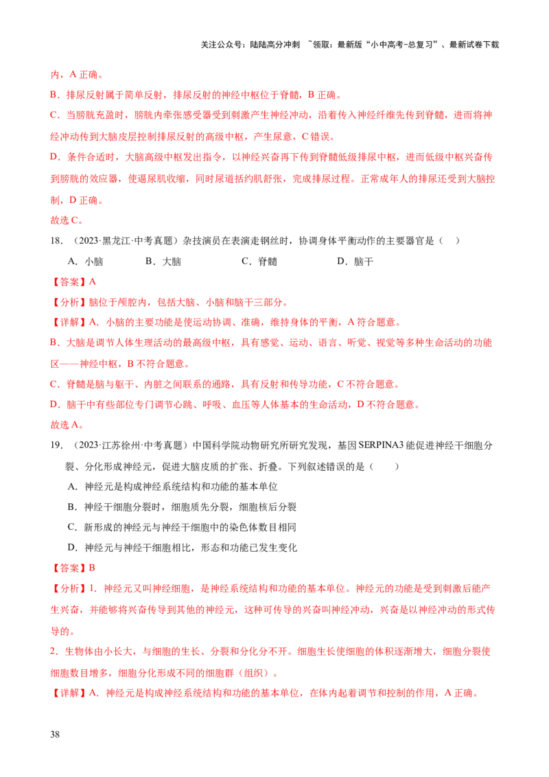 专题07人体生命活动的调节（全国通用）（解析版）_02中考总复习（2026版更新中）_08-生物-中考总复习_2026年中考复习（更新中）