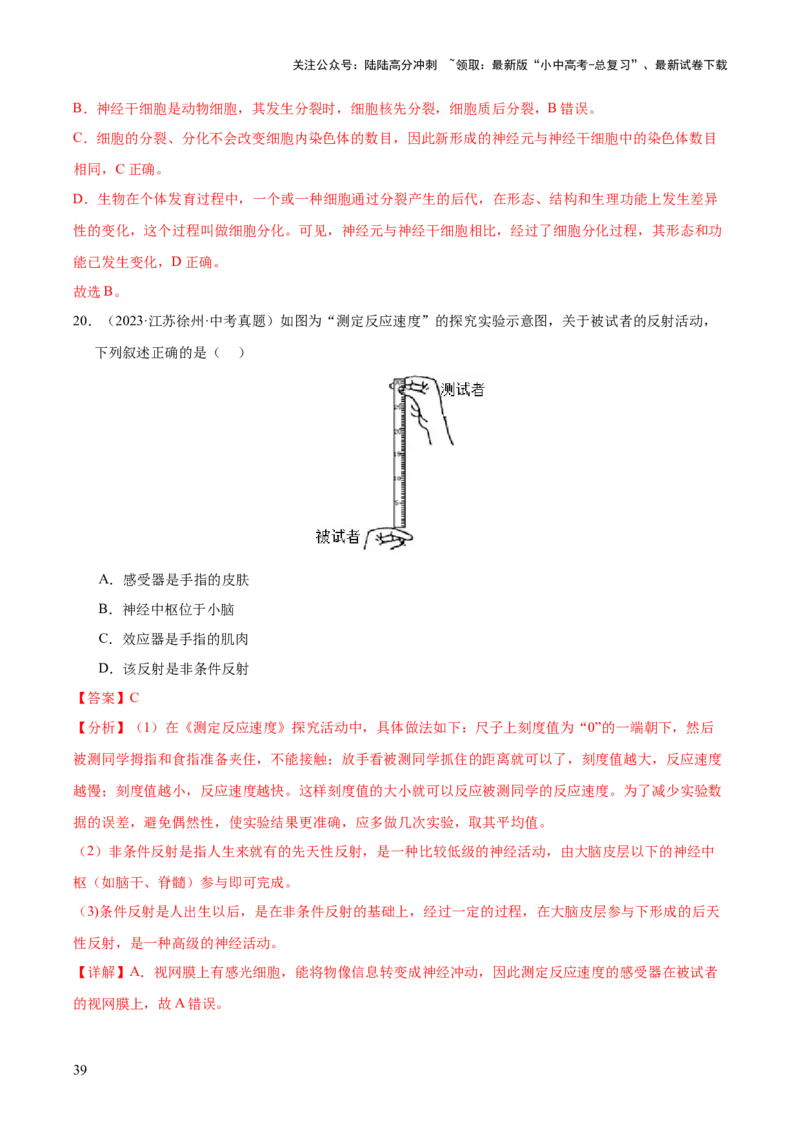 专题07人体生命活动的调节（全国通用）（解析版）_02中考总复习（2026版更新中）_08-生物-中考总复习_2026年中考复习（更新中）
