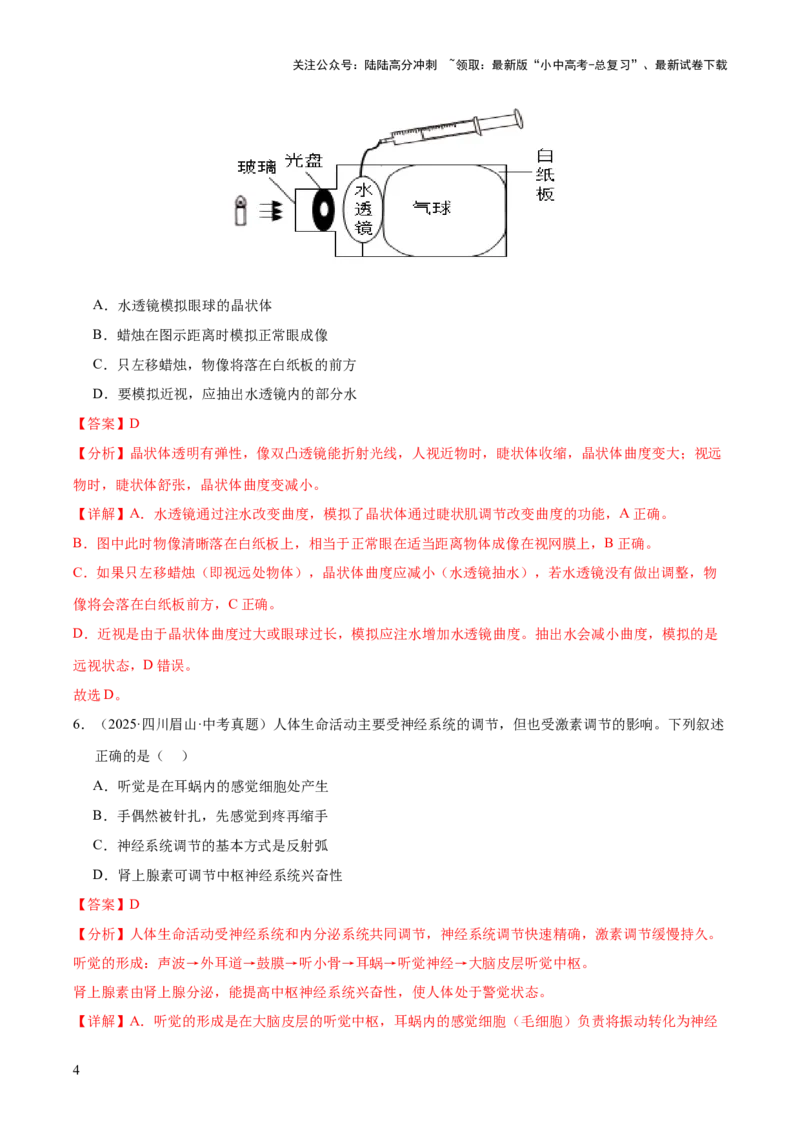 专题07人体生命活动的调节（全国通用）（解析版）_02中考总复习（2026版更新中）_08-生物-中考总复习_2026年中考复习（更新中）