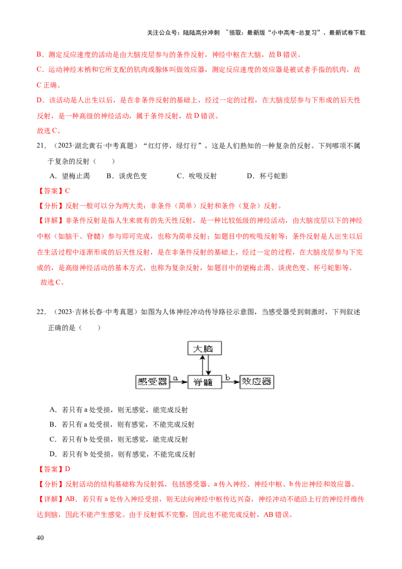 专题07人体生命活动的调节（全国通用）（解析版）_02中考总复习（2026版更新中）_08-生物-中考总复习_2026年中考复习（更新中）