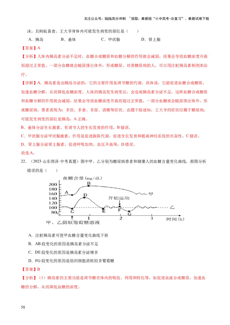专题07人体生命活动的调节（全国通用）（解析版）_02中考总复习（2026版更新中）_08-生物-中考总复习_2026年中考复习（更新中）
