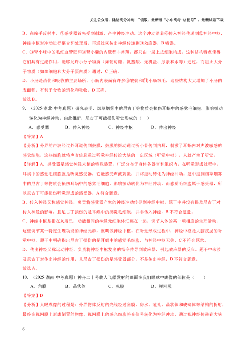 专题07人体生命活动的调节（全国通用）（解析版）_02中考总复习（2026版更新中）_08-生物-中考总复习_2026年中考复习（更新中）