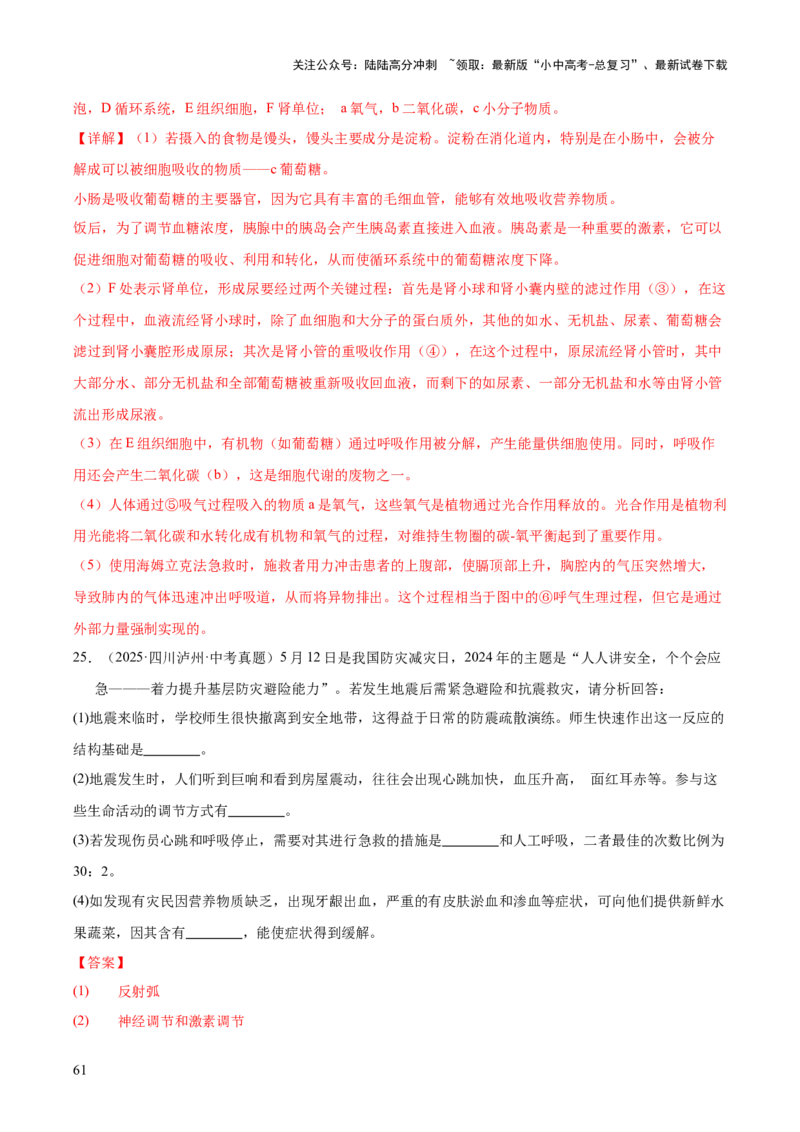 专题07人体生命活动的调节（全国通用）（解析版）_02中考总复习（2026版更新中）_08-生物-中考总复习_2026年中考复习（更新中）