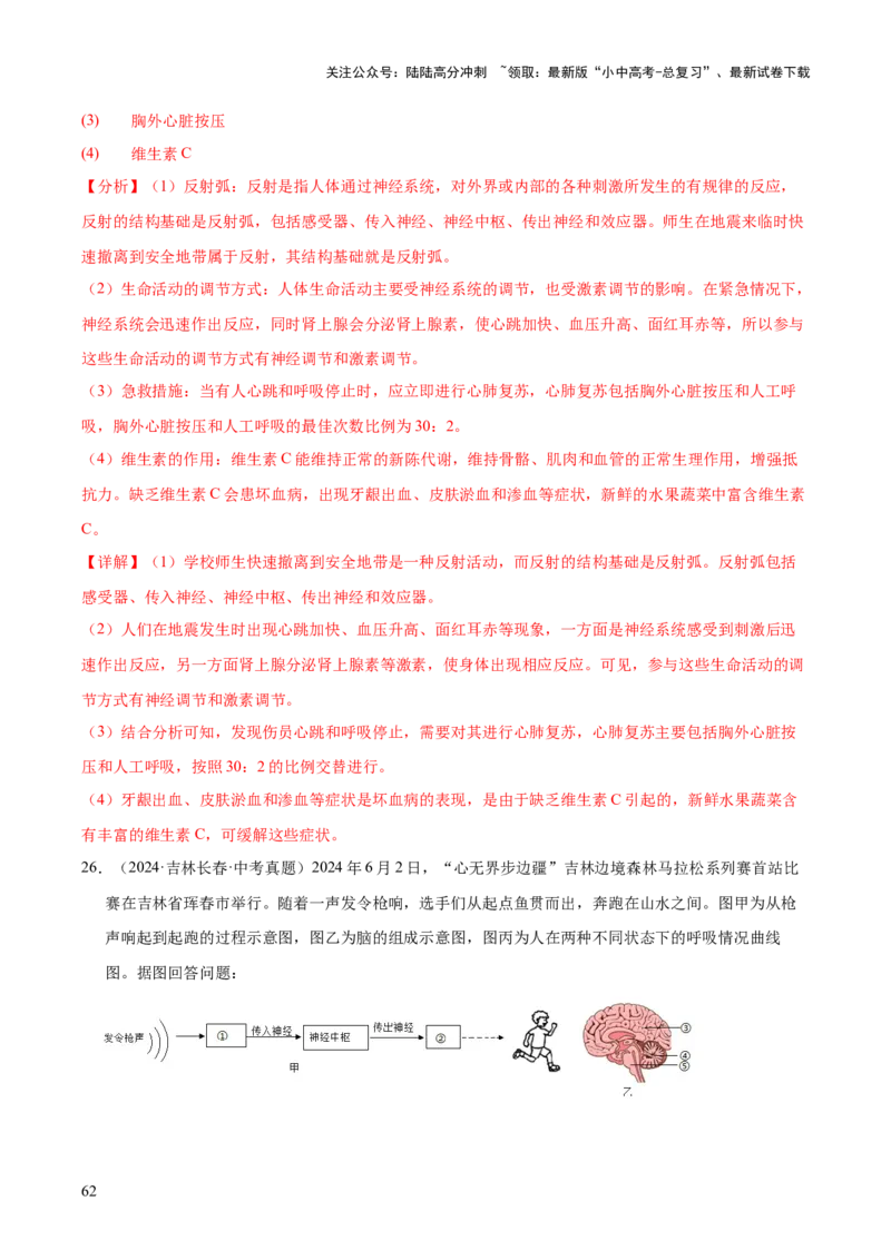 专题07人体生命活动的调节（全国通用）（解析版）_02中考总复习（2026版更新中）_08-生物-中考总复习_2026年中考复习（更新中）