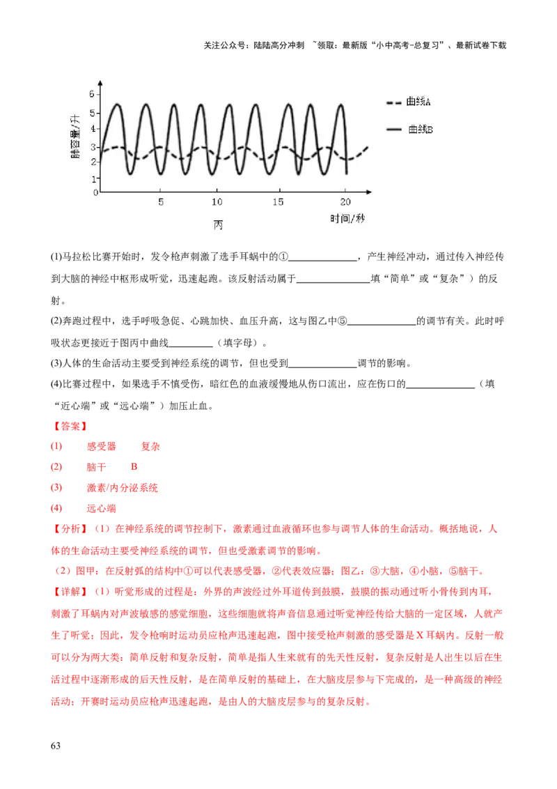 专题07人体生命活动的调节（全国通用）（解析版）_02中考总复习（2026版更新中）_08-生物-中考总复习_2026年中考复习（更新中）