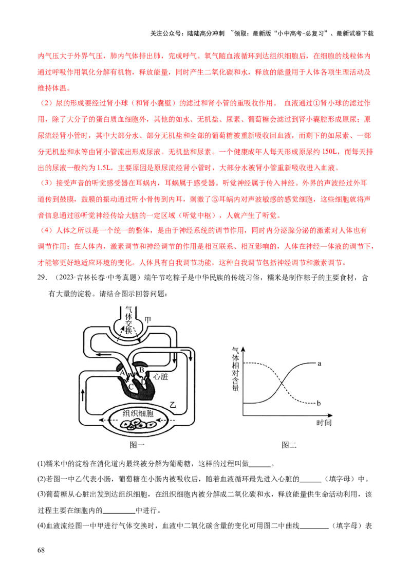 专题07人体生命活动的调节（全国通用）（解析版）_02中考总复习（2026版更新中）_08-生物-中考总复习_2026年中考复习（更新中）
