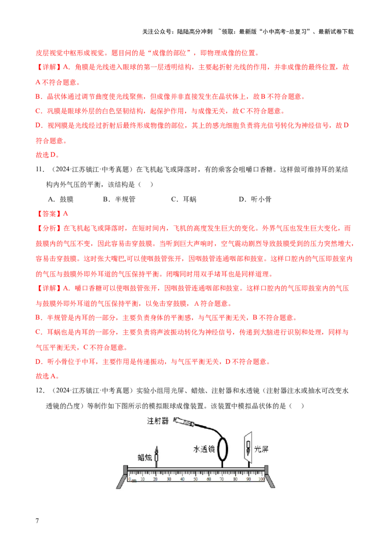 专题07人体生命活动的调节（全国通用）（解析版）_02中考总复习（2026版更新中）_08-生物-中考总复习_2026年中考复习（更新中）
