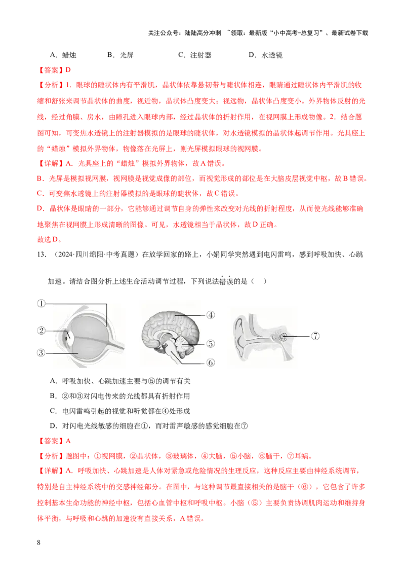 专题07人体生命活动的调节（全国通用）（解析版）_02中考总复习（2026版更新中）_08-生物-中考总复习_2026年中考复习（更新中）