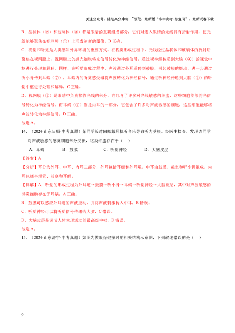 专题07人体生命活动的调节（全国通用）（解析版）_02中考总复习（2026版更新中）_08-生物-中考总复习_2026年中考复习（更新中）