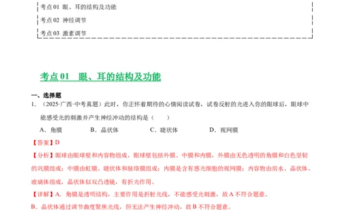 专题07人体生命活动的调节（全国通用）（解析版）_02中考总复习（2026版更新中）_08-生物-中考总复习_2026年中考复习（更新中）