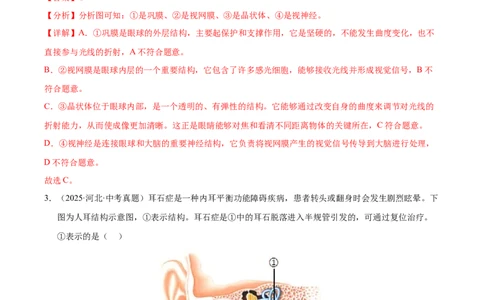 专题07人体生命活动的调节（全国通用）（解析版）_02中考总复习（2026版更新中）_08-生物-中考总复习_2026年中考复习（更新中）