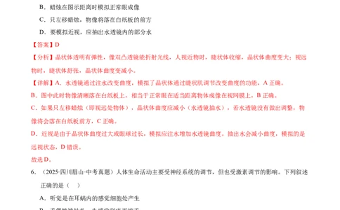 专题07人体生命活动的调节（全国通用）（解析版）_02中考总复习（2026版更新中）_08-生物-中考总复习_2026年中考复习（更新中）