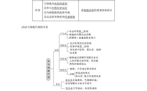 2024年高考生物一轮复习（新人教版）第1单元　第2课时　细胞中的无机物、糖类和脂质_09高考生物_2024年新高考资料_1.2024一轮复习_2024年高考生物一轮复习讲义（新人教版）