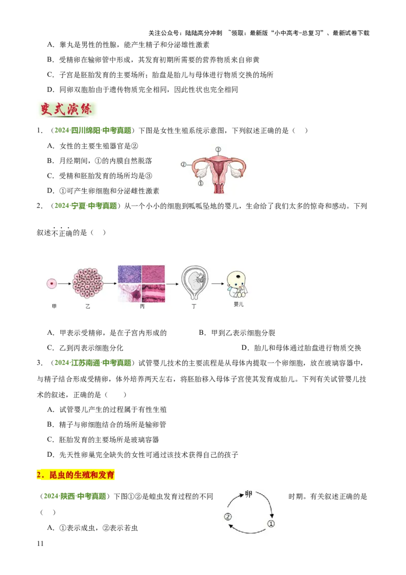 专题06生物的生殖发育、遗传和进化（3大答题模板）（原卷版）_02中考总复习（2026版更新中）_08-生物-中考总复习_2025中考复习资料_2025年中考生物答题方法模板