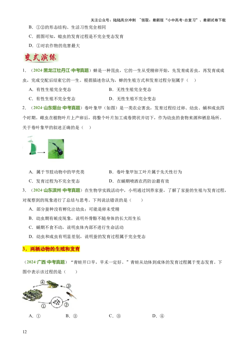 专题06生物的生殖发育、遗传和进化（3大答题模板）（原卷版）_02中考总复习（2026版更新中）_08-生物-中考总复习_2025中考复习资料_2025年中考生物答题方法模板