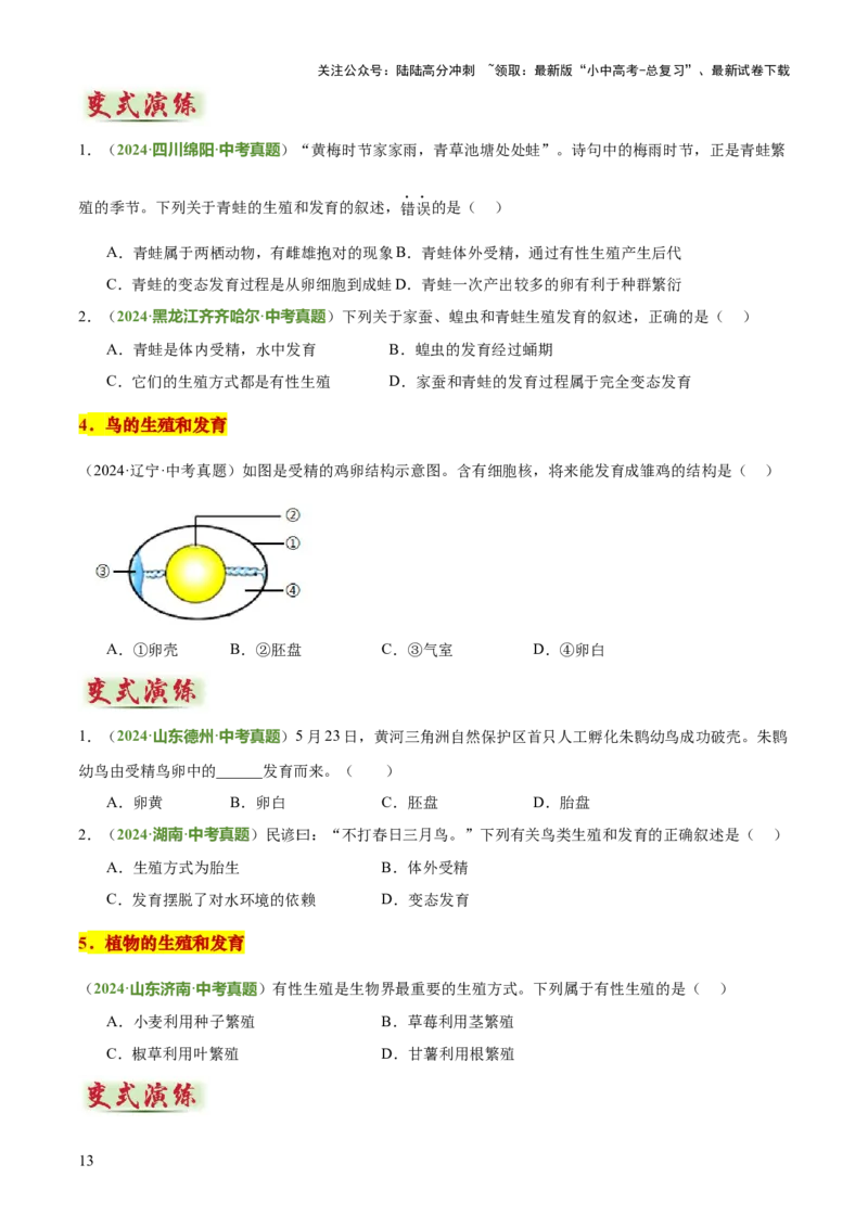 专题06生物的生殖发育、遗传和进化（3大答题模板）（原卷版）_02中考总复习（2026版更新中）_08-生物-中考总复习_2025中考复习资料_2025年中考生物答题方法模板
