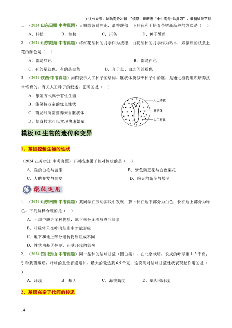 专题06生物的生殖发育、遗传和进化（3大答题模板）（原卷版）_02中考总复习（2026版更新中）_08-生物-中考总复习_2025中考复习资料_2025年中考生物答题方法模板
