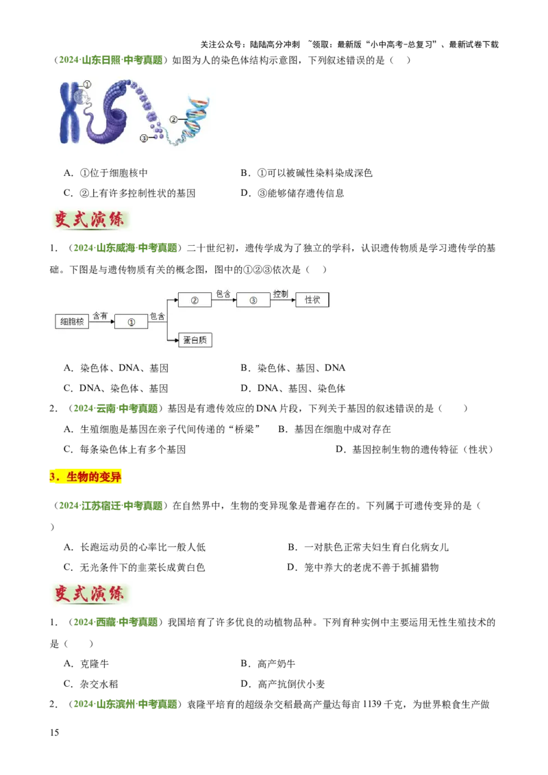 专题06生物的生殖发育、遗传和进化（3大答题模板）（原卷版）_02中考总复习（2026版更新中）_08-生物-中考总复习_2025中考复习资料_2025年中考生物答题方法模板