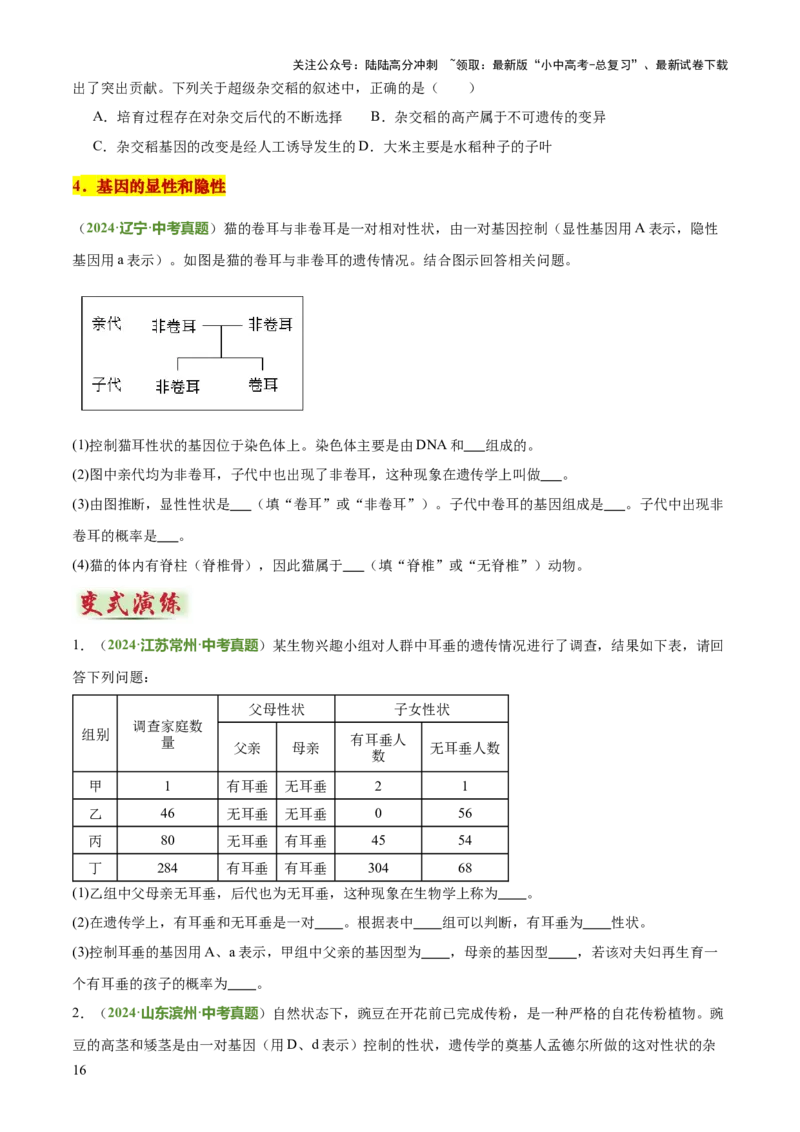 专题06生物的生殖发育、遗传和进化（3大答题模板）（原卷版）_02中考总复习（2026版更新中）_08-生物-中考总复习_2025中考复习资料_2025年中考生物答题方法模板