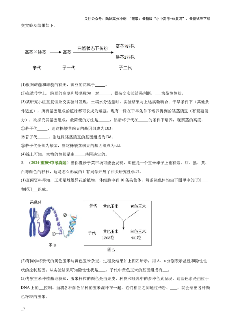 专题06生物的生殖发育、遗传和进化（3大答题模板）（原卷版）_02中考总复习（2026版更新中）_08-生物-中考总复习_2025中考复习资料_2025年中考生物答题方法模板