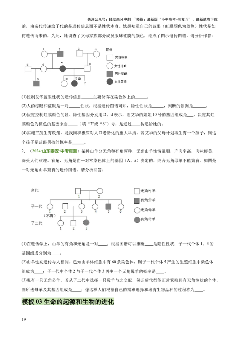 专题06生物的生殖发育、遗传和进化（3大答题模板）（原卷版）_02中考总复习（2026版更新中）_08-生物-中考总复习_2025中考复习资料_2025年中考生物答题方法模板