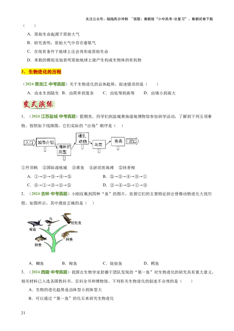 专题06生物的生殖发育、遗传和进化（3大答题模板）（原卷版）_02中考总复习（2026版更新中）_08-生物-中考总复习_2025中考复习资料_2025年中考生物答题方法模板
