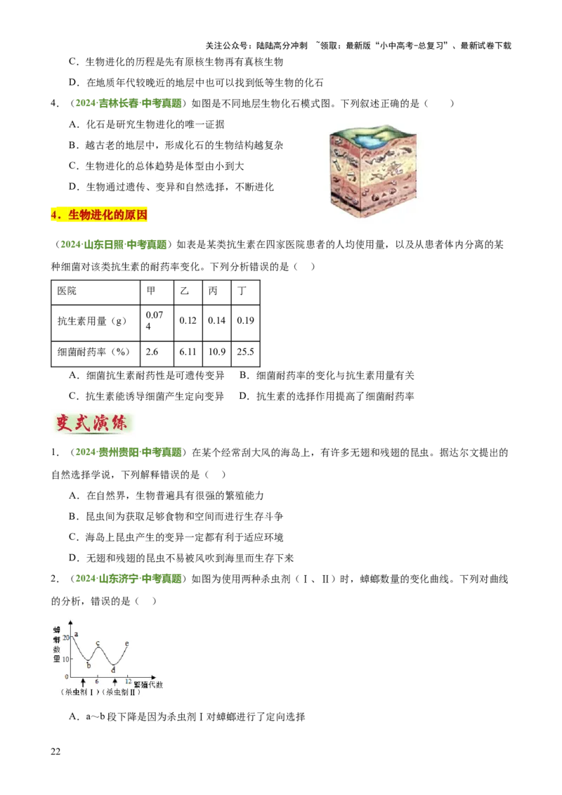 专题06生物的生殖发育、遗传和进化（3大答题模板）（原卷版）_02中考总复习（2026版更新中）_08-生物-中考总复习_2025中考复习资料_2025年中考生物答题方法模板