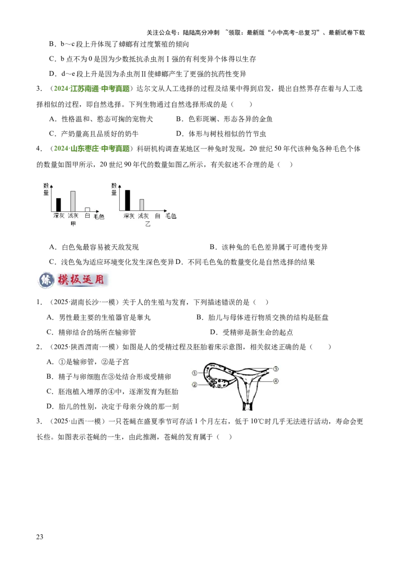 专题06生物的生殖发育、遗传和进化（3大答题模板）（原卷版）_02中考总复习（2026版更新中）_08-生物-中考总复习_2025中考复习资料_2025年中考生物答题方法模板