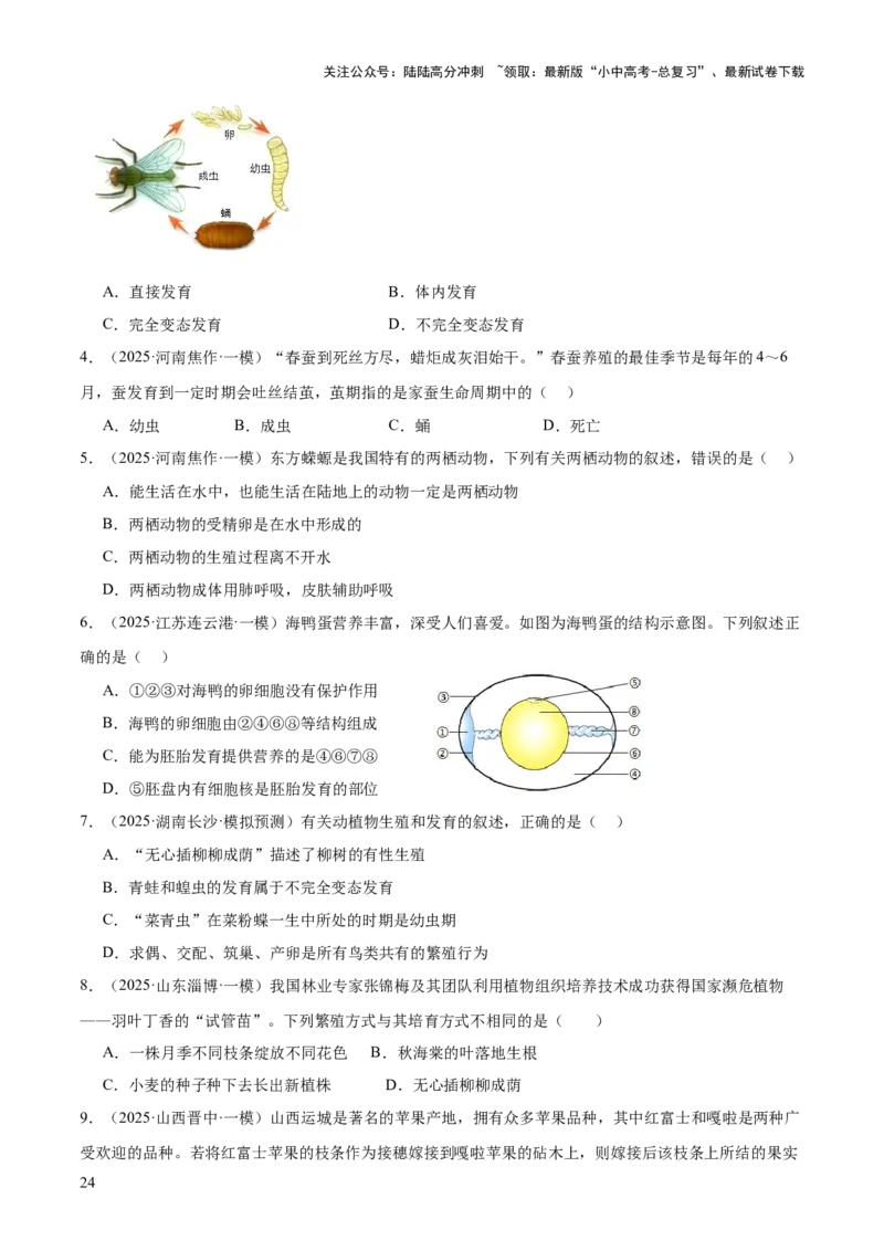 专题06生物的生殖发育、遗传和进化（3大答题模板）（原卷版）_02中考总复习（2026版更新中）_08-生物-中考总复习_2025中考复习资料_2025年中考生物答题方法模板