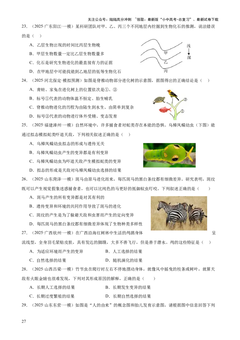 专题06生物的生殖发育、遗传和进化（3大答题模板）（原卷版）_02中考总复习（2026版更新中）_08-生物-中考总复习_2025中考复习资料_2025年中考生物答题方法模板