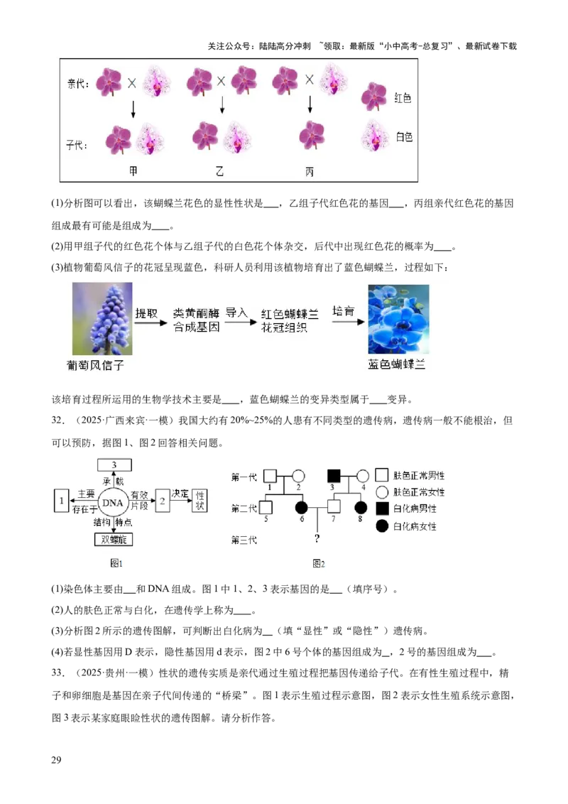 专题06生物的生殖发育、遗传和进化（3大答题模板）（原卷版）_02中考总复习（2026版更新中）_08-生物-中考总复习_2025中考复习资料_2025年中考生物答题方法模板