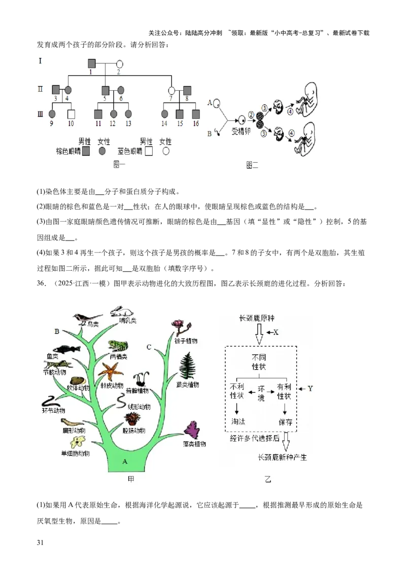 专题06生物的生殖发育、遗传和进化（3大答题模板）（原卷版）_02中考总复习（2026版更新中）_08-生物-中考总复习_2025中考复习资料_2025年中考生物答题方法模板