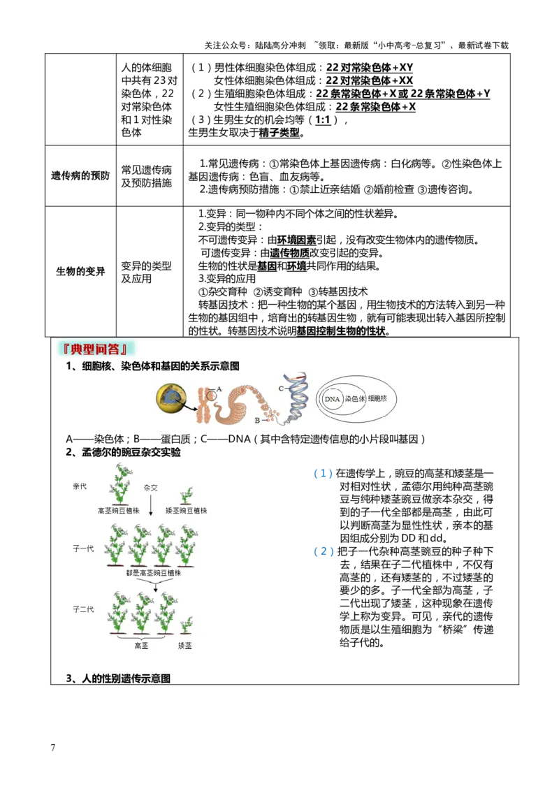 专题06生物的生殖发育、遗传和进化（3大答题模板）（原卷版）_02中考总复习（2026版更新中）_08-生物-中考总复习_2025中考复习资料_2025年中考生物答题方法模板